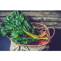 Vegetarischer Kochkurs Frankfurt – Grüner Mangold