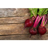 Veganer Kochkurs Frankfurt – rote Beete