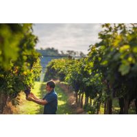 Wein-Tasting Hamburg – Winzer im Weinberg