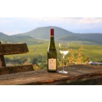 Weinprobe mit Wanderung Pfalz –Wein