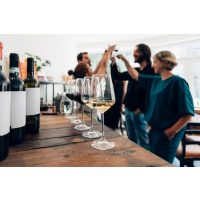 Weinprobe Berlin  Weine unterscheiden lernen