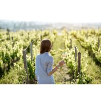 Weinprobe Frankfurt - Frau im Weinberg