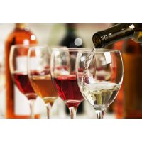 Weinprobe Hamburg – Wine Tasting