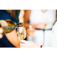 Weinprobe Ludwigsburg – Weißwein einschenken