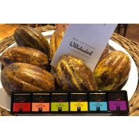 weinprobe-mit-schokolade-vorOrt