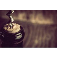 Weinprobe Münster – Weinflasche wird geöffnet