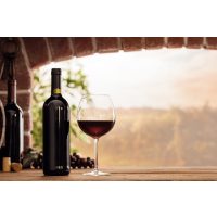 weinprobe-wuerzburg schönstes Weingut nahe Würzburg