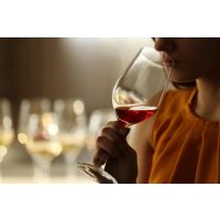 Weinseminar Hamburg – Frau genießt Wein