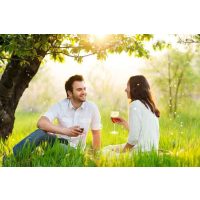 Weinseminar Nürnberg - Trinken im Grünen