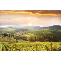 Weinseminar Nürnberg - Weinberge