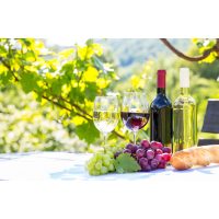 Weinseminar in Nürnberg - Wein draussen genießen