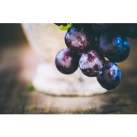 Wein-Tasting Hamburg: blaue Weintrauben