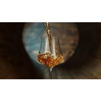 Whisky-Tasting Düsseldorf: goldene Flüssigkeit