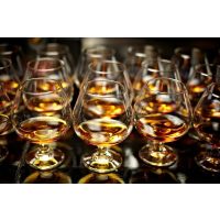 Whisky-Tasting München – Gläser stehen bereit