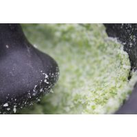 Wildkräuter-Kochkurs München – Kräuter aus dem Mörser