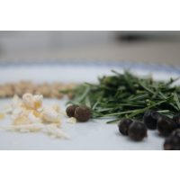 Wildkräuter-Kochkurs München – Kräuter aus dem Wald