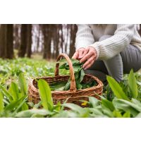 Wildkräuter-Tasting München mit Kräutern kochen