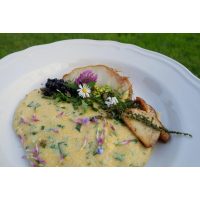 Wildkräuter-Tasting München Kräuterhochgenuss