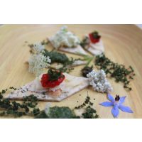 Wildkräuter-Tasting München mit Kräutern durchs Jahr