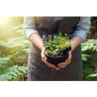 Wildkräuter-Tasting München Kräuter gesund ernähren