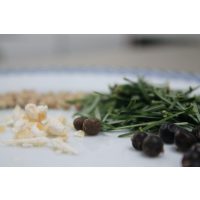 Wildkräuter-Tasting München Kräuter richtig einsetzen