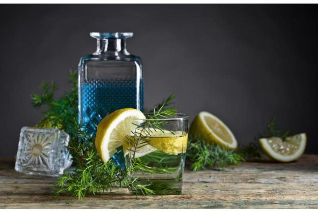 Gin-Tasting Frankfurt-Hofheim  Gin Tonics ohne Ende