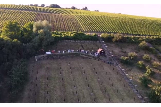 Trüffel Verkostung Würzburg Trüffelplantage