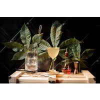 Cocktailkurs München – Tropischer Cocktail
