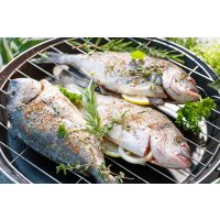 Grillkurs Dresden – gegrillter Fisch