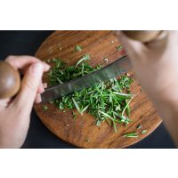 Kochkurs Stuttgart – Kräuter hacken