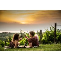 Online-Firmenfeier gemeinsam im Weinberg