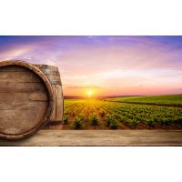 virtuelle reise in die Toskana Sonnenuntergang