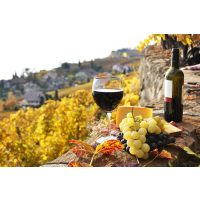Weinprobe Berlin – Weinbergterrasse Italien