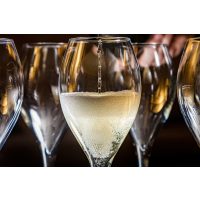 Weinprobe-Frankfurt der beste Cava