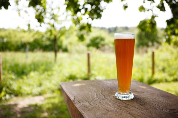 Braukurs München - Weißbier im Biergarten
