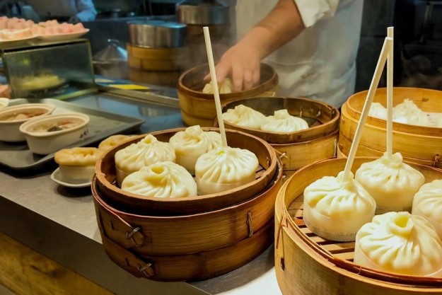 Kochkurs Berlin – Gyoza