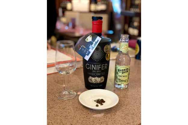 GIN-Tasting Südafrika – 6 Gins mit Tonics & Sommelier