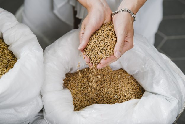 Ein Helles, bitte!