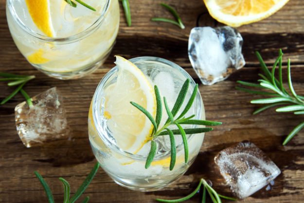 Gin-Tasting Berlin – Gin Tonic mit Rosmarin