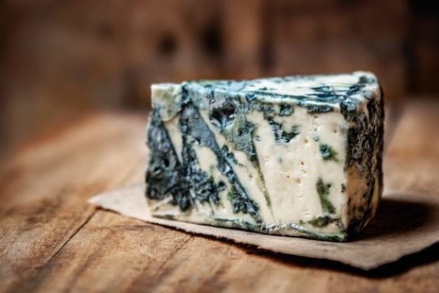 Käsetasting-at-Home-Gorgonzola