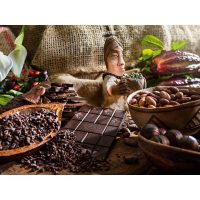 Schokoladen-Workshop Düsseldorf – Rohschokolade