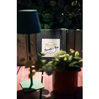 Franky's Cocktails – Dein exklusiver Cocktailkurs in Köln!