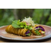 kalifornische Küche Hannover – Raw Vegan Dish