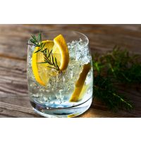 Gin-Tasting Frankfurt-Hofheim  Gin in allen Varianten