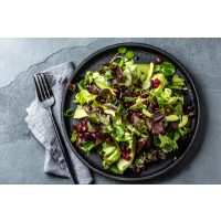 Kochkurs Stuttgart – Wildkräuter-Salat