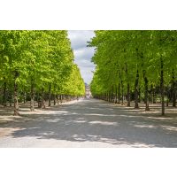 Kulinarische Stadtführung Düsseldorf – Hofgarten