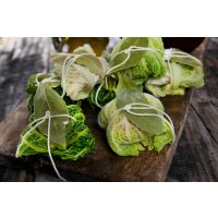 Teambuilding in Düsseldorf Wirsingrouladen