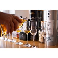 Whisky-Tasting Karlsruhe – Tasting