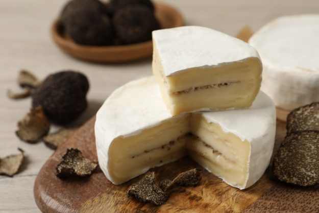 Trüffel Verkostung Würzburg Trüffel und Käse