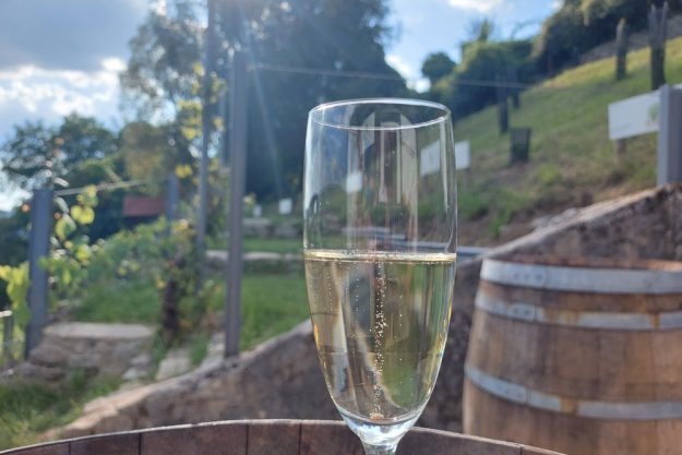 Trüffel Verkostung Würzburg einmaliges Erlebnis mit Champagner